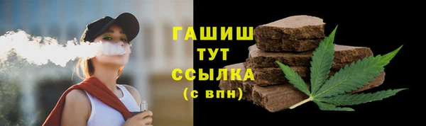 индика Алзамай