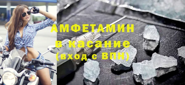 индика Алзамай