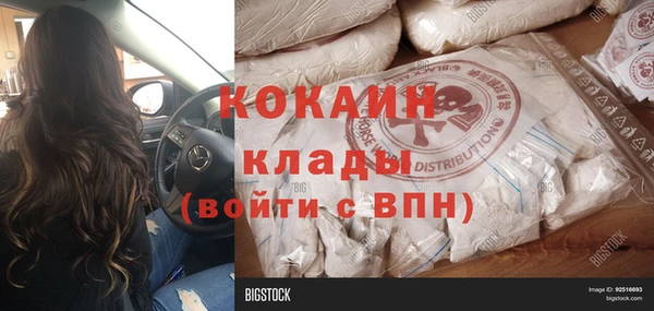 индика Алзамай