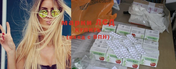 индика Алзамай