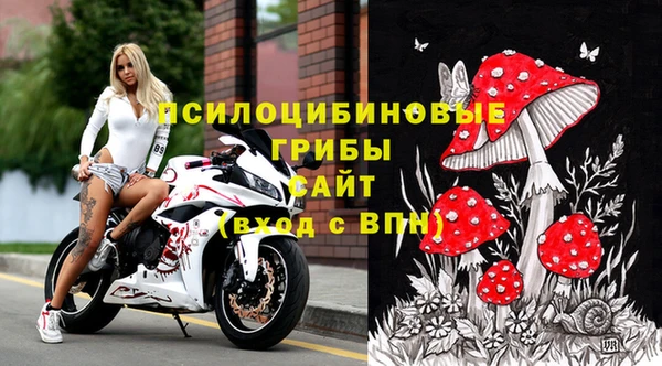 экстази Алексин