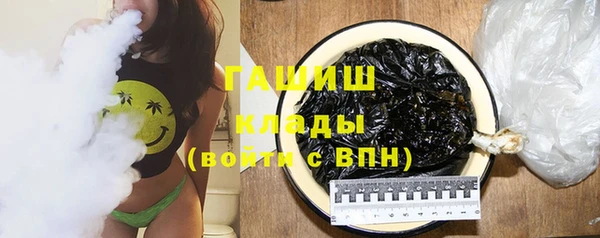 индика Алзамай